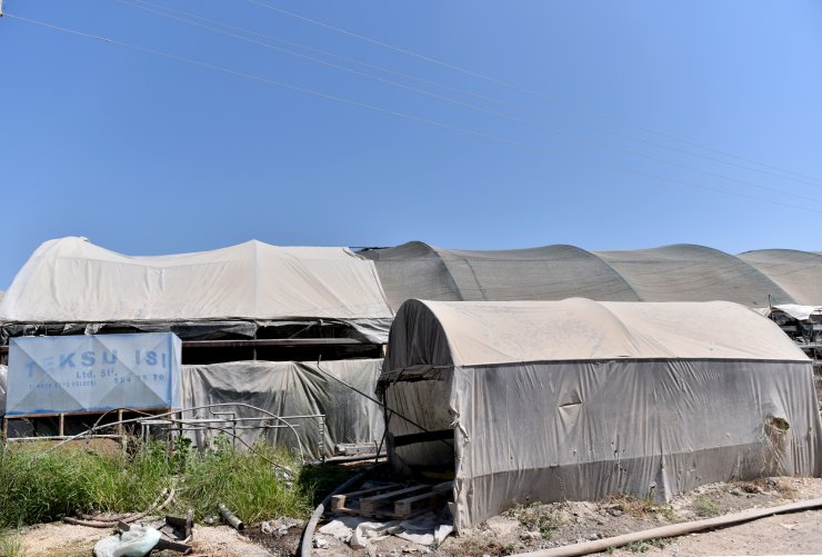 GÜNCELLEME - Sahte içki imalathanesine sera görünümü vermişler