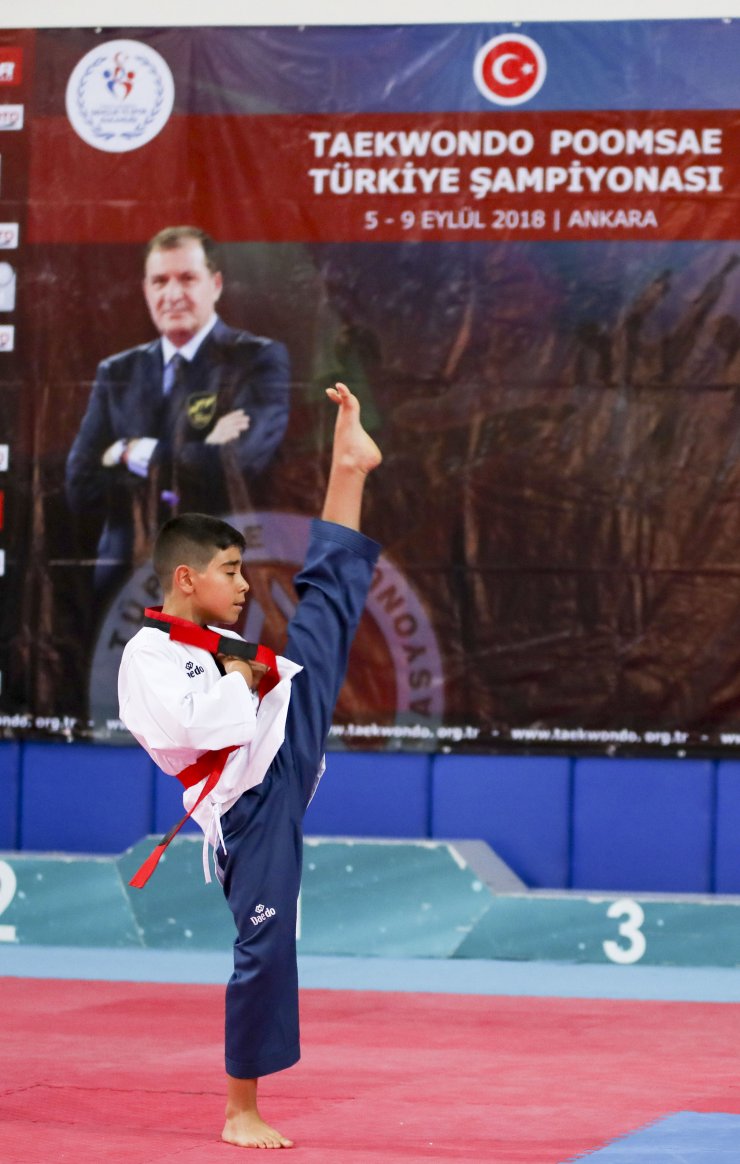 Türkiye Tekvando Poomse Şampiyonası başladı