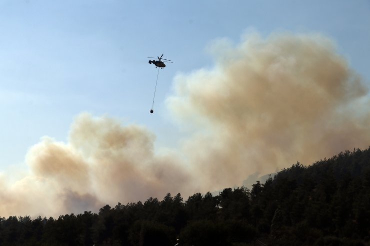 GÜNCELLEME 2 - Osmaniye'de orman yangını