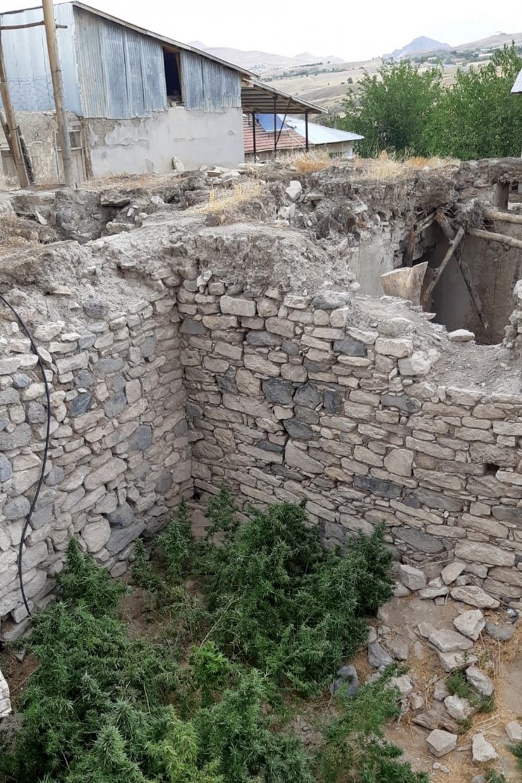 Metruk evde kenevir yetiştirmiş