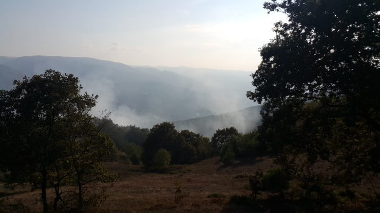Bolu'da orman yangını