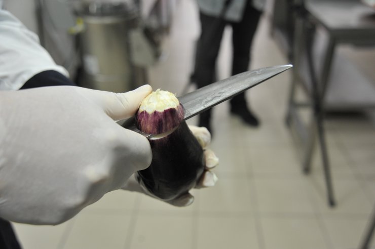 Kurutmalık patlıcandan çıkan lezzet: Mıcırık aşı