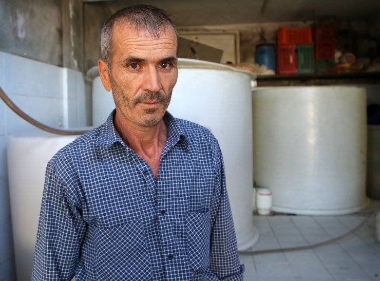 Sahte EFT talimatı fotoğrafıyla 27 ton zeytinini kaybetti