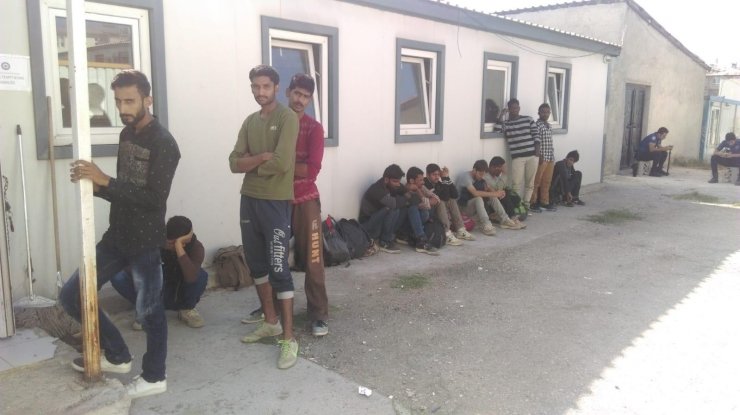 Van'da 48 düzensiz göçmen yakalandı