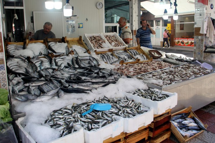 Karadeniz'de tezgahlar balık çeşitleriyle doldu