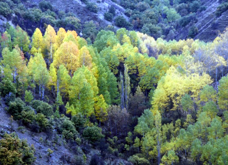 Beypazarı'nın yaylaları doğaseverleri bekliyor