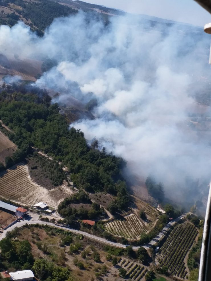 GÜNCELLEME - Balıkesir'de orman yangını