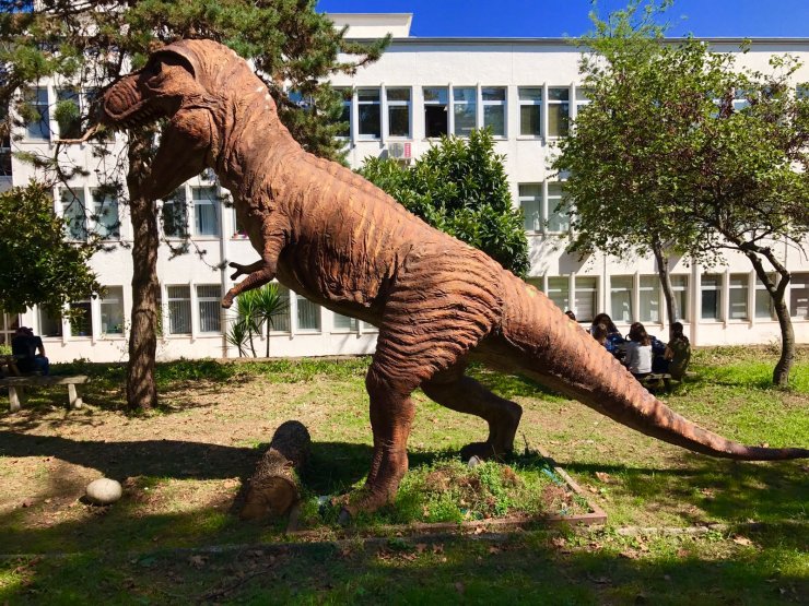 KTÜ'de Doğa Müzesi oluşturulacak