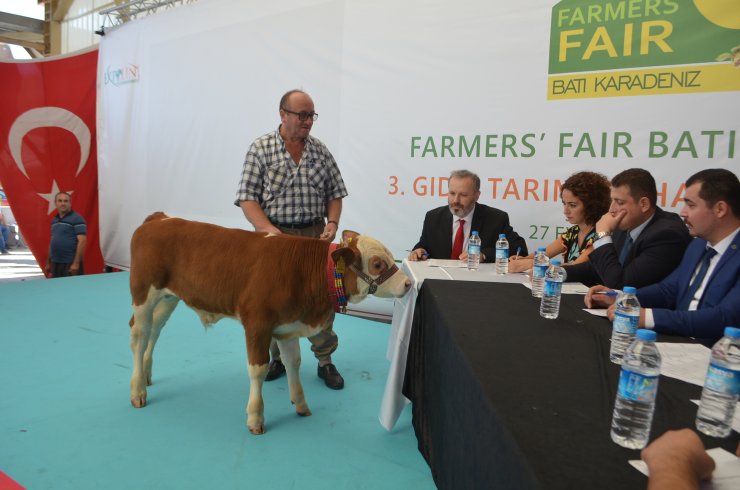 Buzağı ve malaklar podyumda mücadele etti