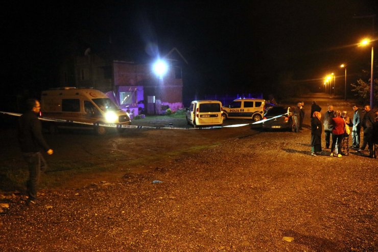 Batı Karadeniz'de balık bereketi