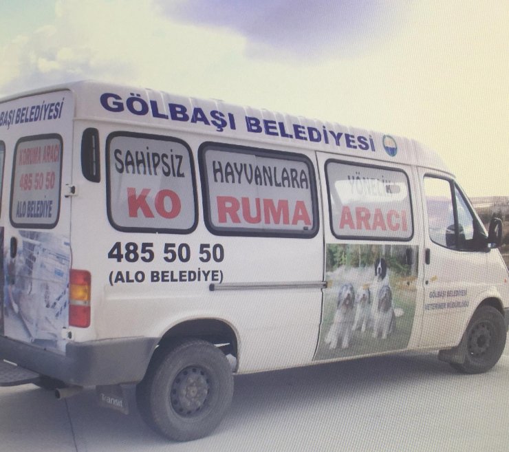 Gölbaşı'nda sokak hayvanlarına bakım