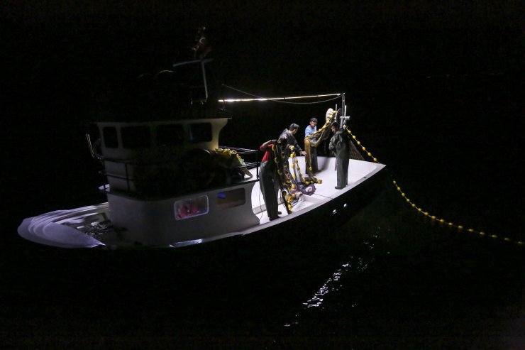 Karadeniz'de palamut bereketi