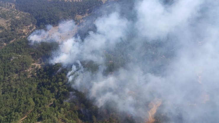 GÜNCELLEME - Denizli'de orman yangını