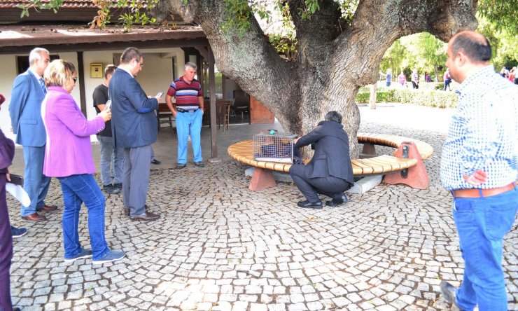 Yaralı sincaplar "Akhilleus" ve "Hektor" tedavi edildi