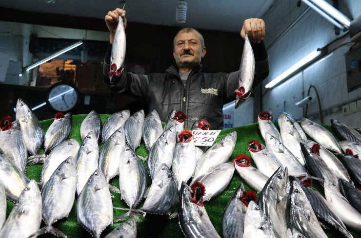 "Bu sezon balıkçılarımıza yaradı"