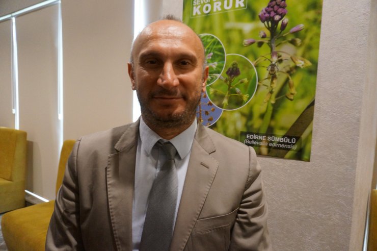 Edirne Sümbülü turizme kazandırılacak