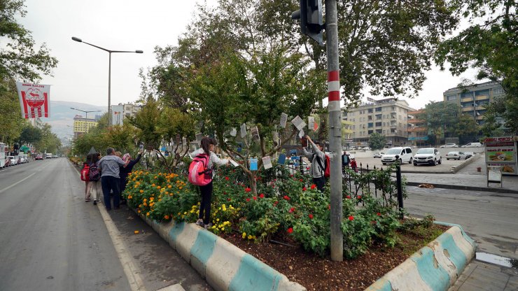 Kahramanmaraş'ta ağaçlar "kitap açtı"