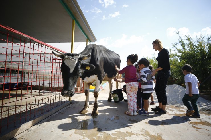 Anaokulunda çiftlik hayatı