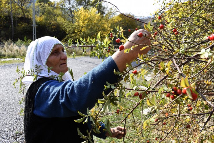 Yeniden üretime geçen fabrika yöre halkının yüzünü güldürdü