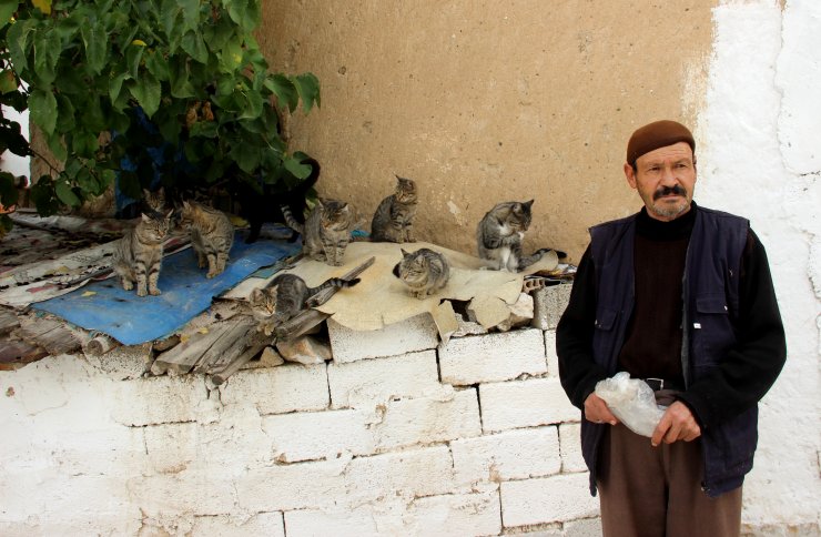 Hurda toplayıp hem ailesine hem de sokak kedilerine bakıyor
