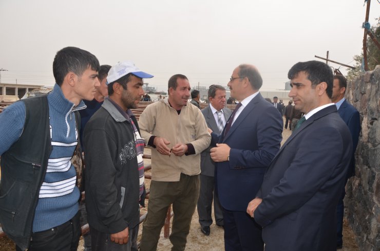 Karapınar'a yeni kapalı hayvan pazarı