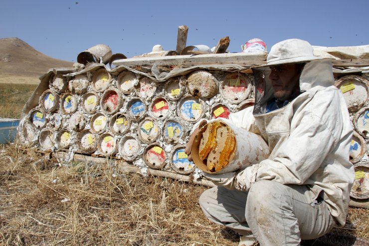 Arap ülkelerinin gözdesi: Karakovan balı