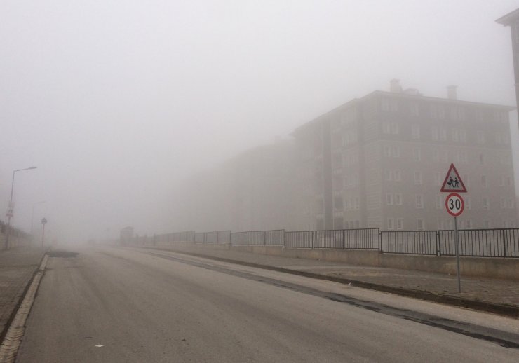 Güneydoğu'da sis