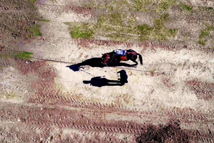 Diyarbakır'da rahvan atları kıyasıya yarıştı