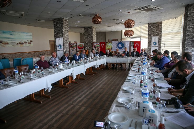 Marmarabirlik'in Afrin'den zeytin aldığı iddiası