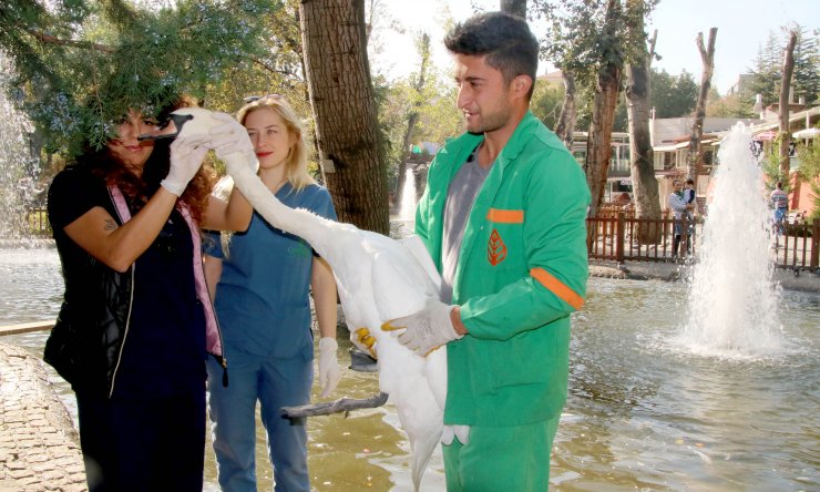 Kuğulu Park'ın sakinlerine sağlık taraması