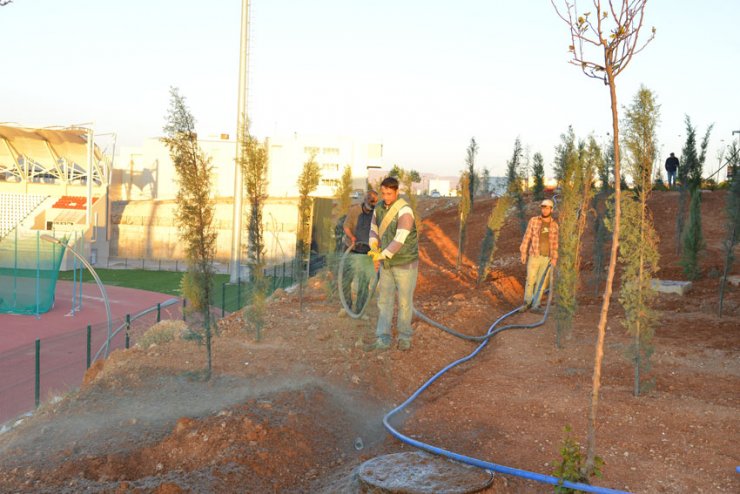 AEÜ'nün yerleşkesinde peyzaj çalışmaları