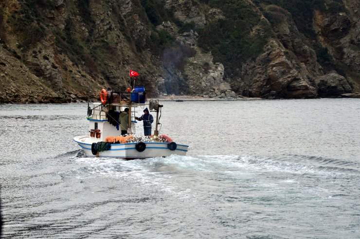 3 milyon liralık "yapay resif"ler balık popülasyonunu artırdı