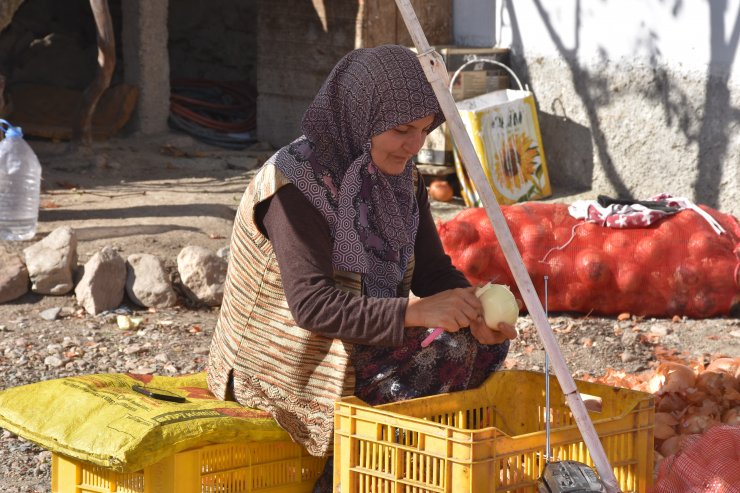 "Ekmeklerini" soğandan çıkarıyorlar