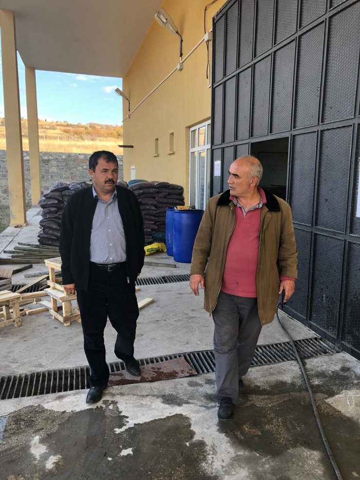 Ahırlı'ya mantar tesisi kuruldu