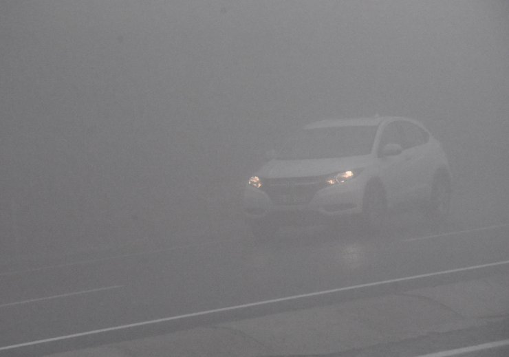 Batı Karadeniz'de sis