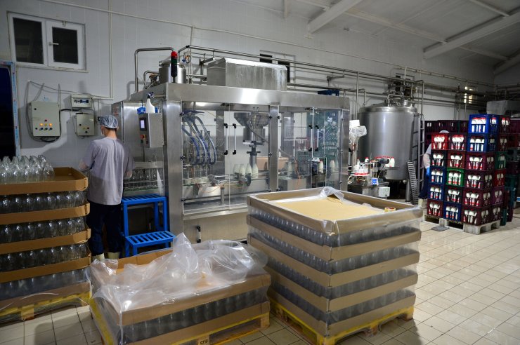 Dubai'nin günlük sütü Gökçeada'dan