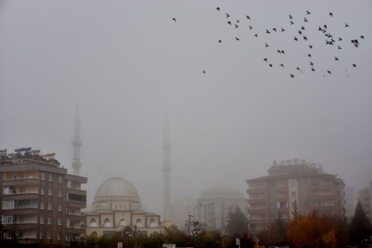 Güneydoğu'da ulaşıma sis engeli