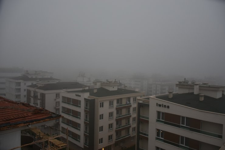Güneydoğu'da yoğun sis
