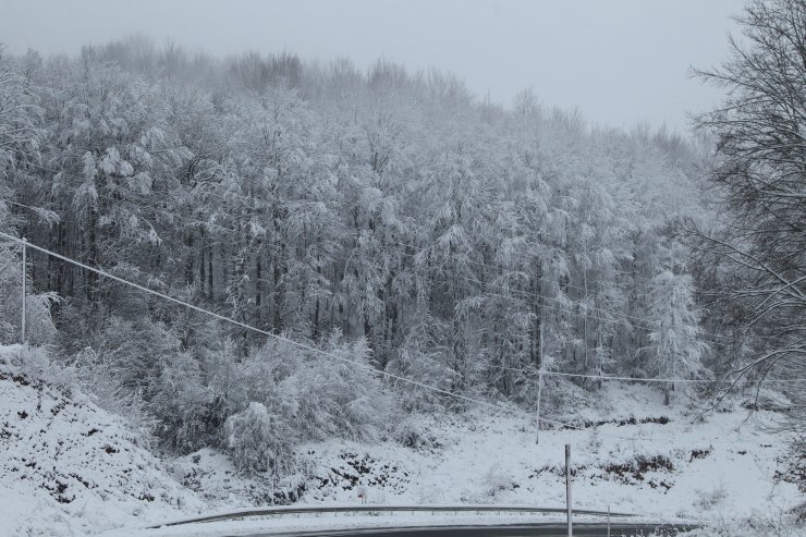 Yıldız Dağları beyaza büründü
