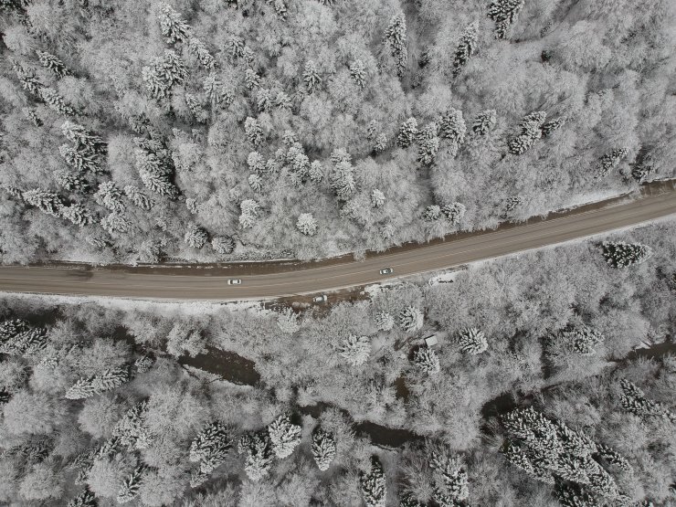 Bolu ve Kocaeli'de kar yağışı