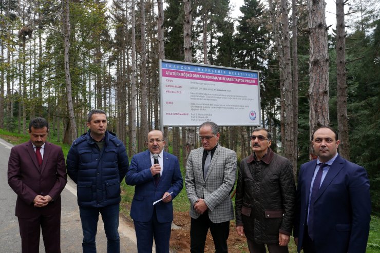 Atatürk Köşkü Ormanı'nda 1 milyondan fazla zararlı böcek tespit edildi