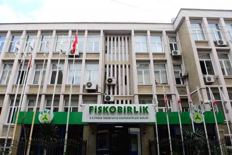 Fındık kaçıran hamaliye ekibine operasyon