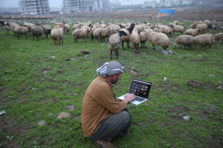 AA'nın "Yılın Fotoğrafları" oylaması