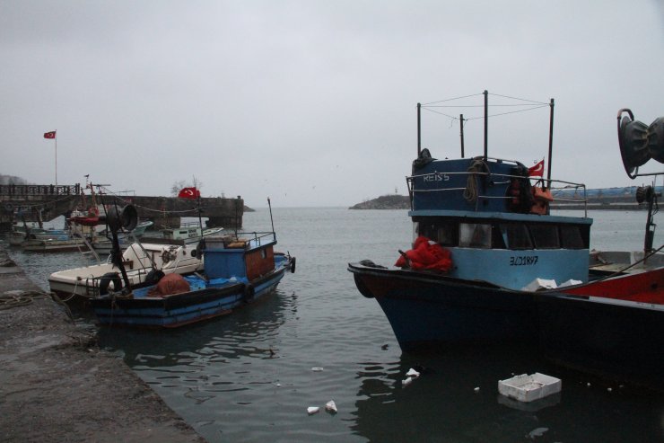 "Karadeniz'de sürdürülebilir balıkçılık ve koruma alanları şart"