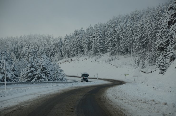 Doğu Anadolu'da kış