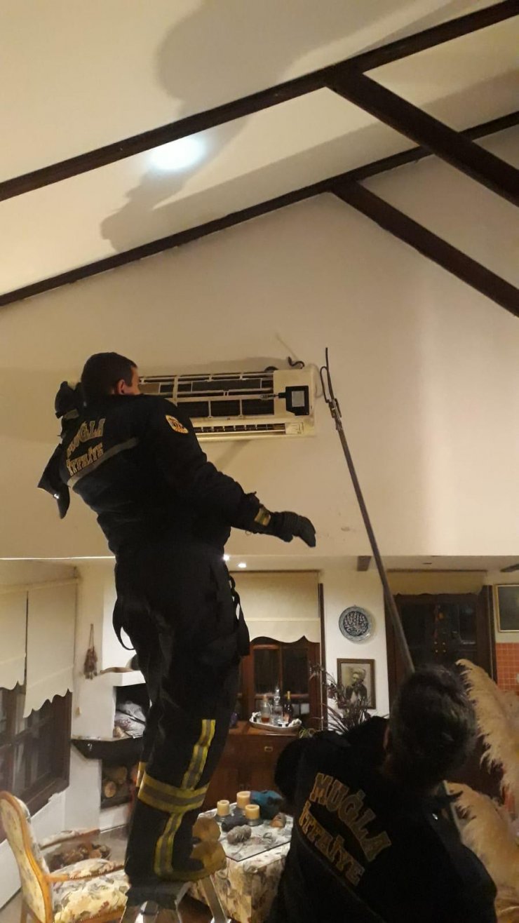 Muğla'da klimaya giren yılanı itfaiye ekibi çıkardı