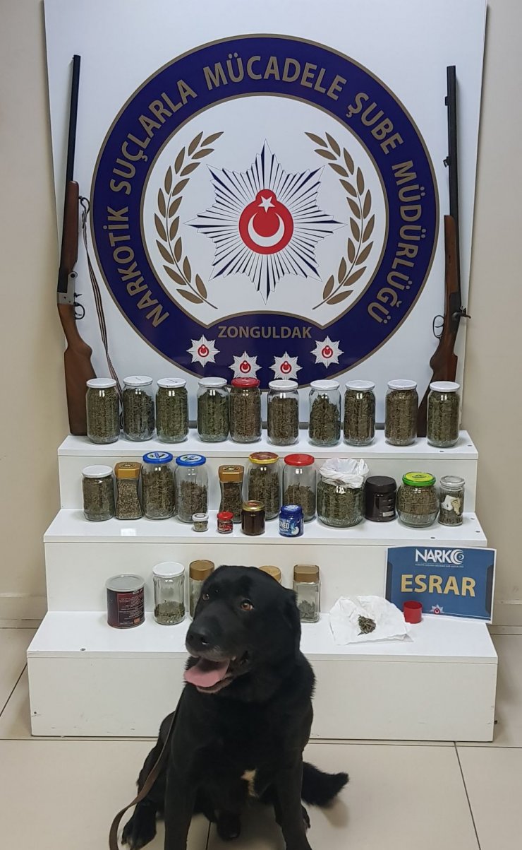 Zonguldak'ta uyuşturucu operasyonu