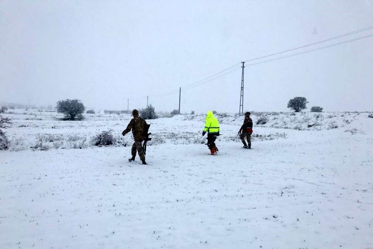 Elazığ'da kaçan anguslar jandarma tarafından bulundu