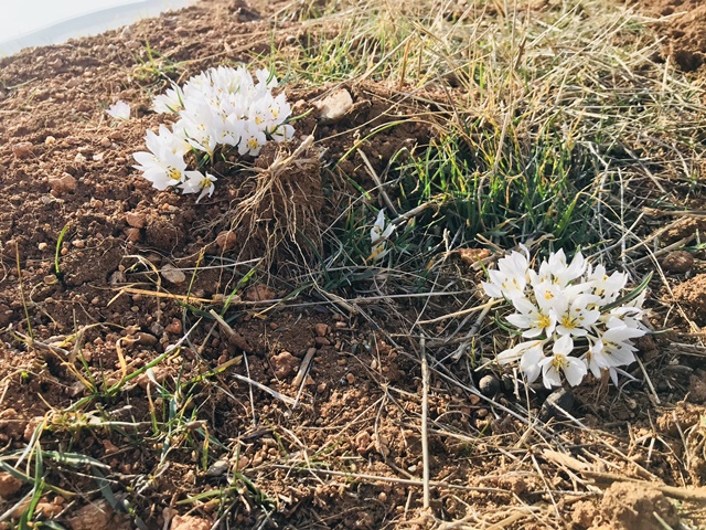 20180214_2_28691787_30738331.jpg