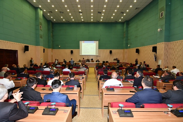 2019-1.jpg